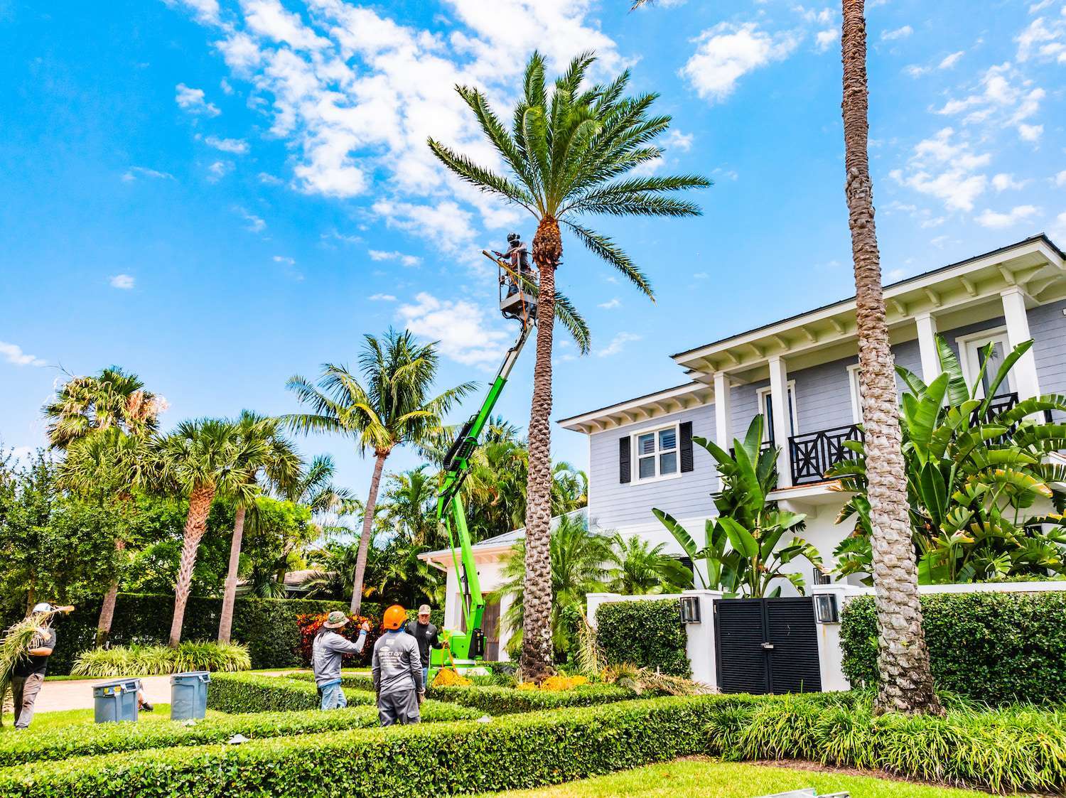 commercial tree services and landscape services in Boca Raton, FL