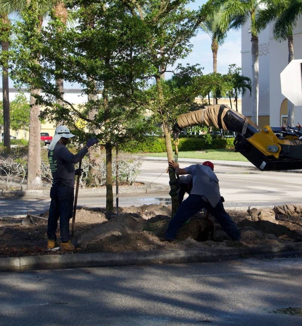 Commercial landscaping services for retail center in Boynton Beach, FL Commercial landscaping services for retail center in Boynton Beach, FL