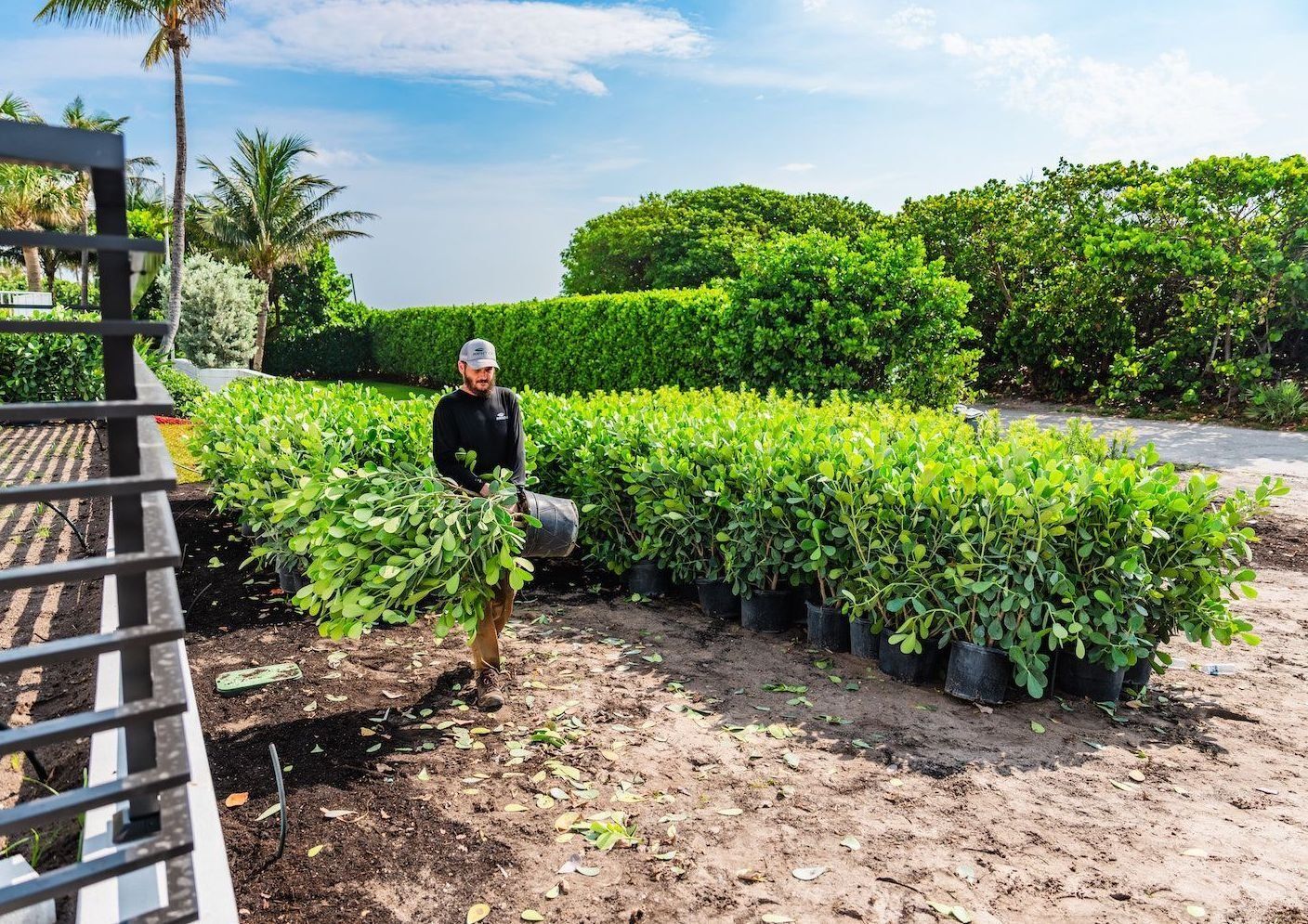 Landscape services crew installing shrubs and plants for commercial landscape enhancements in Delray Beach, FL-1