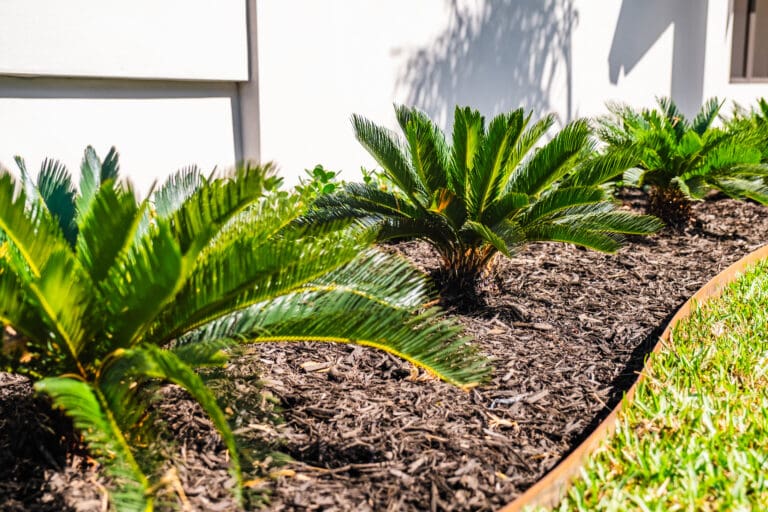 Landscape services with ornamental plant installation and mulch beds in Boynton Beach, FL