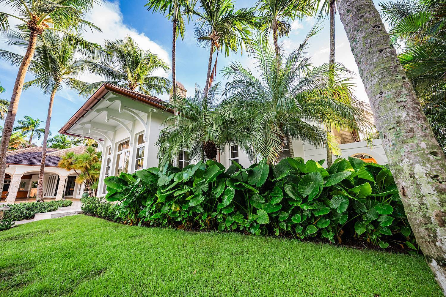 Waterfront estate with palm trees, pool, and professional landscape company work in Manalapan, FL