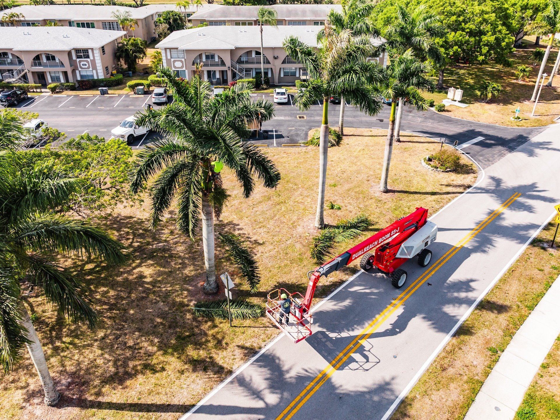 Commercial Tree Company